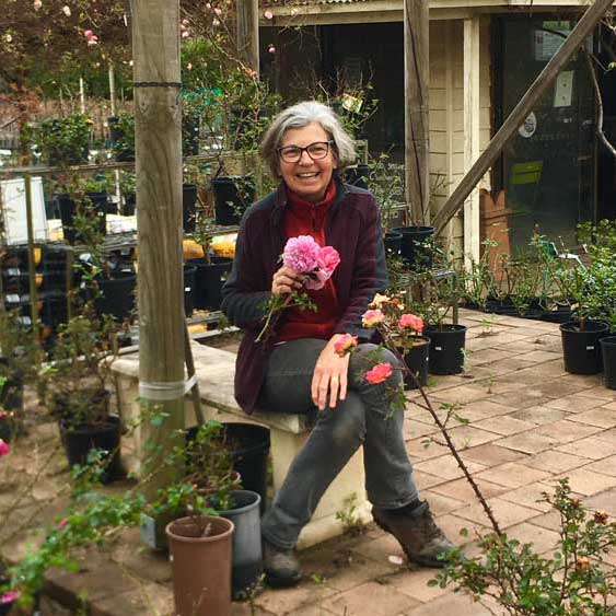 Meet: Brigitte Eckardt, Rose Grower, Green E Roses